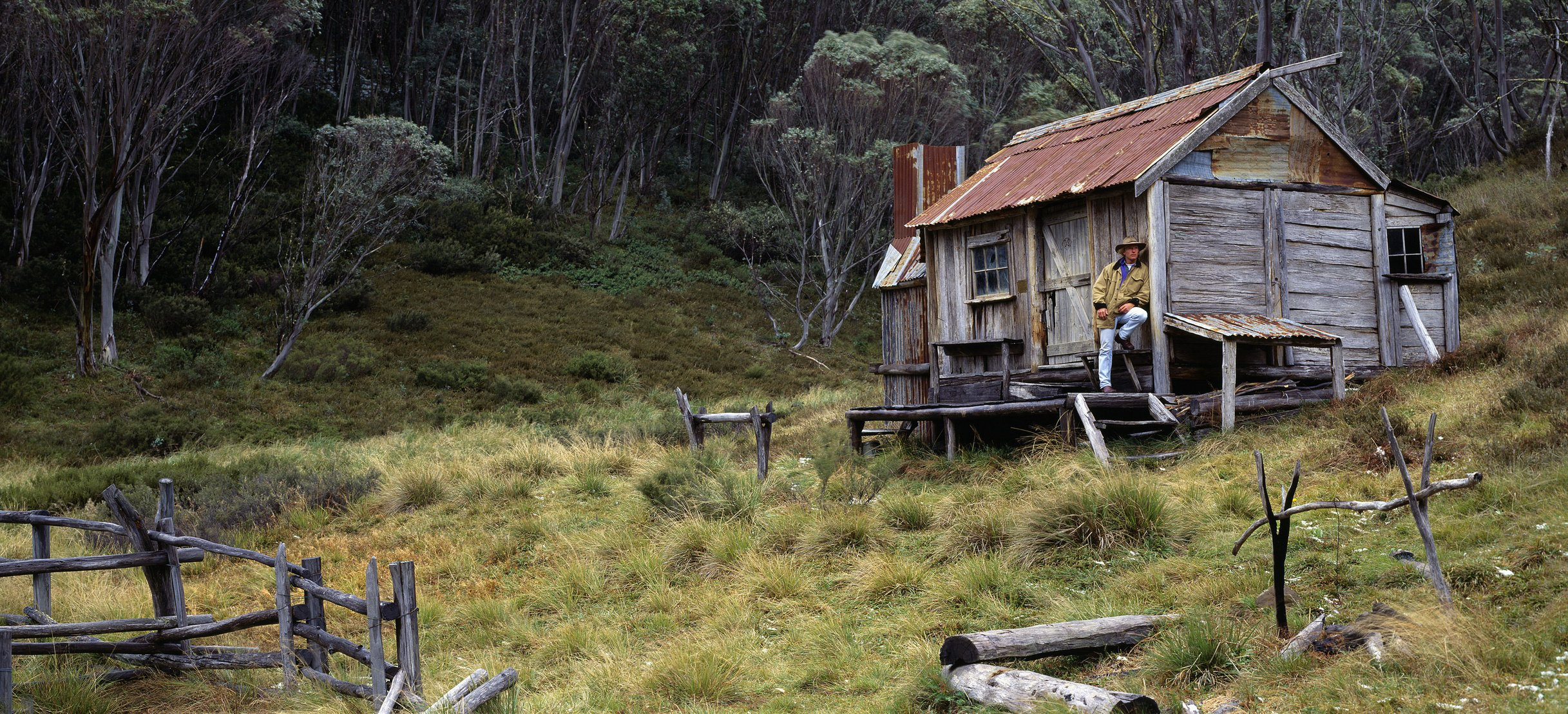 Cabin in the High Country